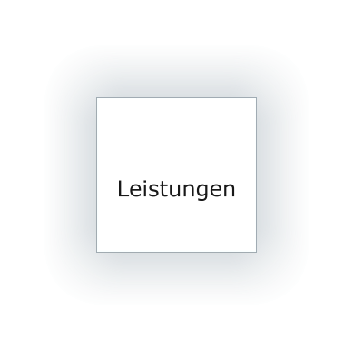 Leistungen